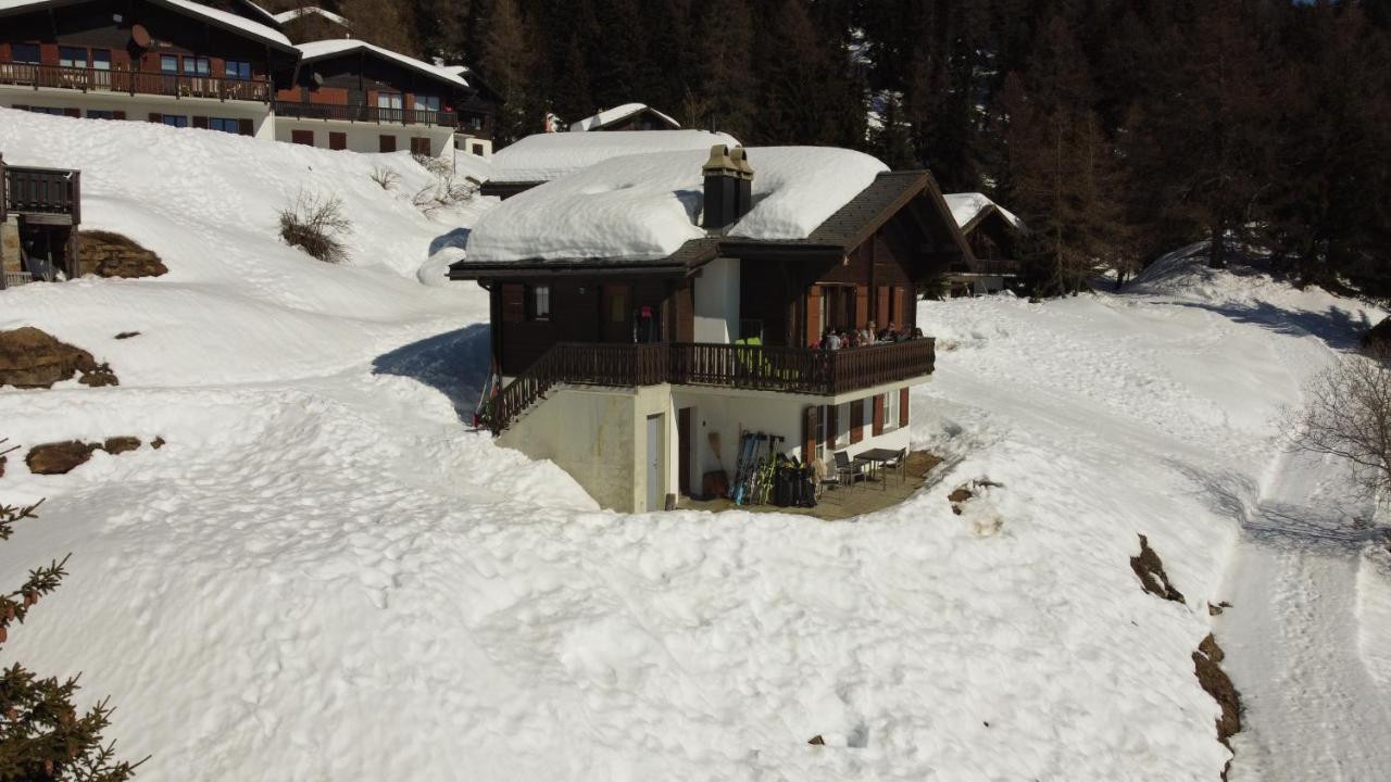 Chalet Foresta Bettmeralp Eksteriør bilde