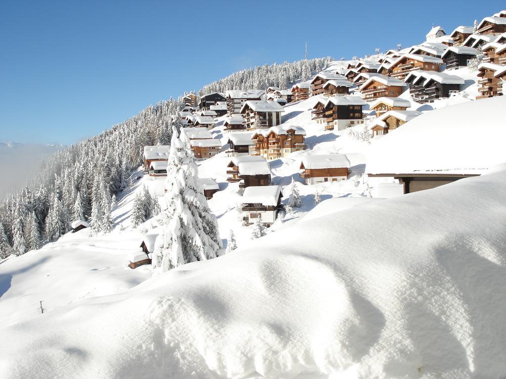 Chalet Foresta Bettmeralp Eksteriør bilde