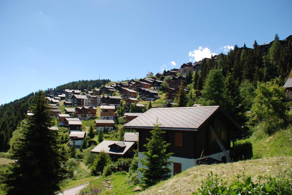 Chalet Foresta Bettmeralp Eksteriør bilde
