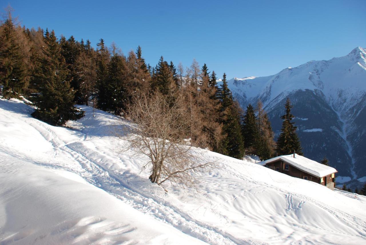 Chalet Foresta Bettmeralp Eksteriør bilde